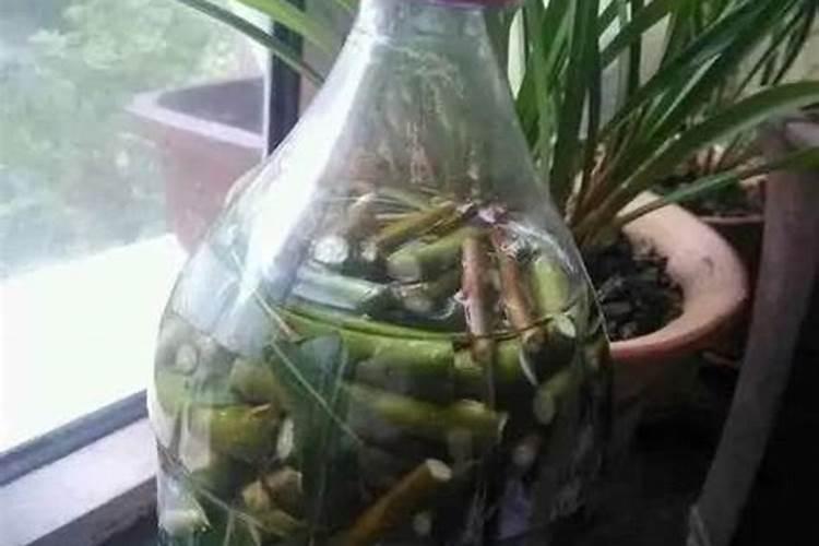 问各位老师大蒜浇第一次水冲什么肥好