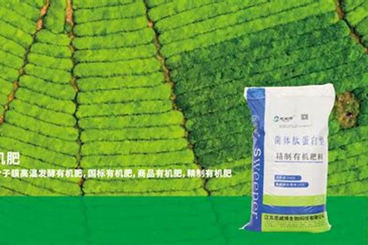 明矾放到井水里可以食用吗？