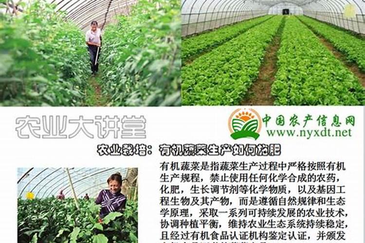 生物有机肥怎么用效果好