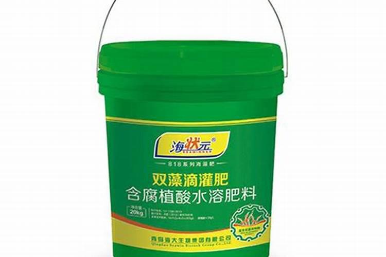 竹子施肥的正确方法