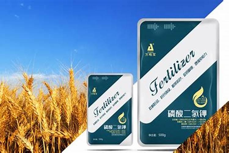 小麦在生长过程中出现叶片发黄的情况所缺的化肥的种类是