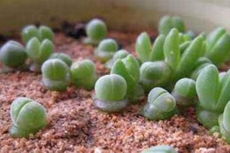 哺育了14亿中国人的农耕地,土壤肥力在悄悄流失？