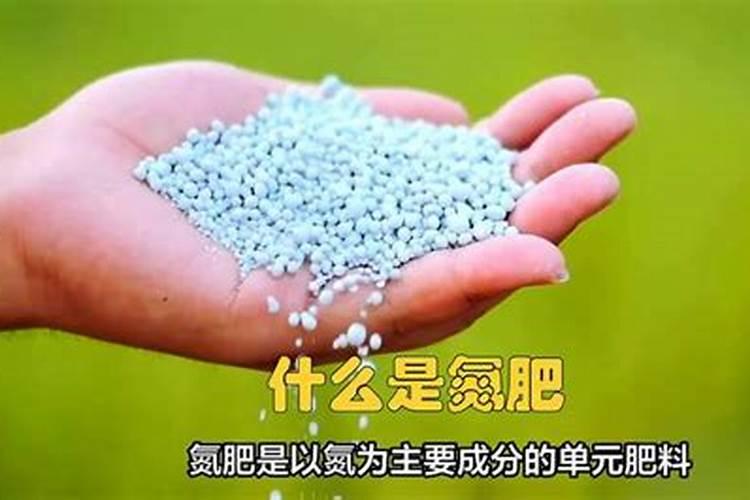 所谓的臭化肥俗称什么名字