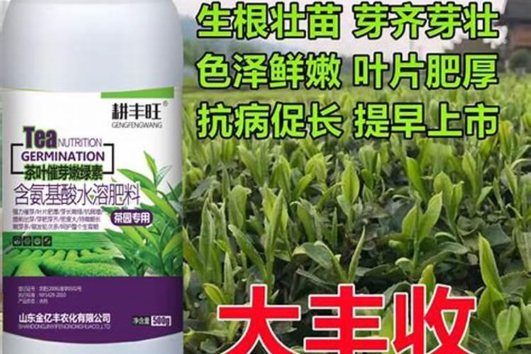 如何稀释花生麸水