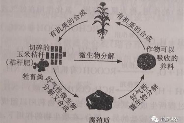 影响土壤有机质分解转化的因素有哪些？转化过程可以分为哪几步