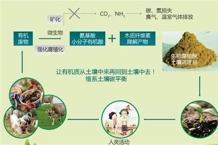 葡萄糖冲施对根的作用