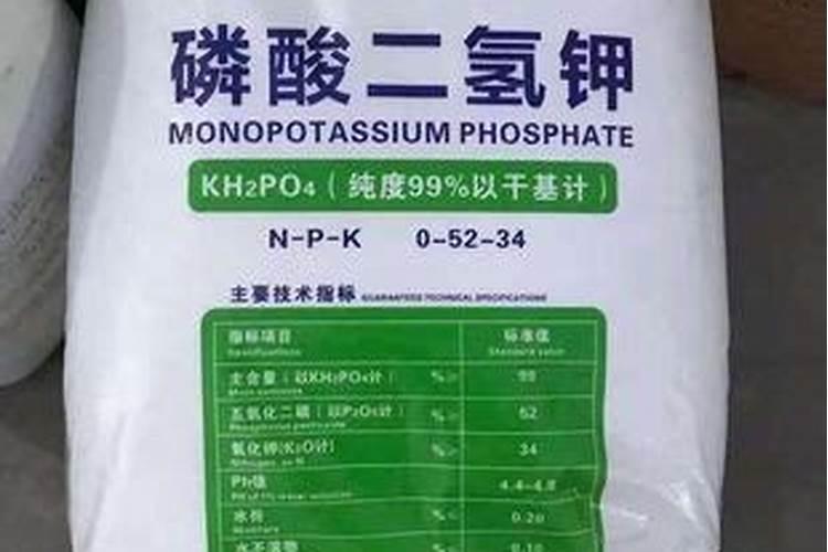 开花需要什么肥？