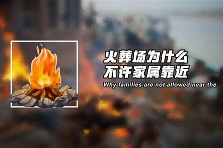 倒闭的氮肥厂可以住人吗