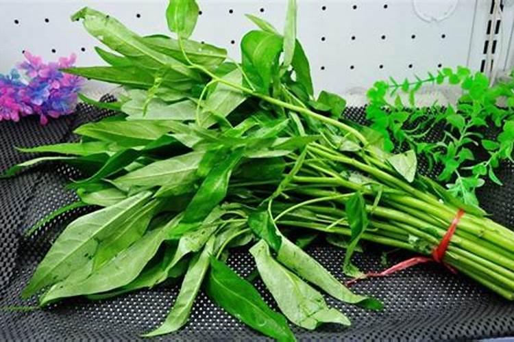 芒种适合种植什么蔬菜