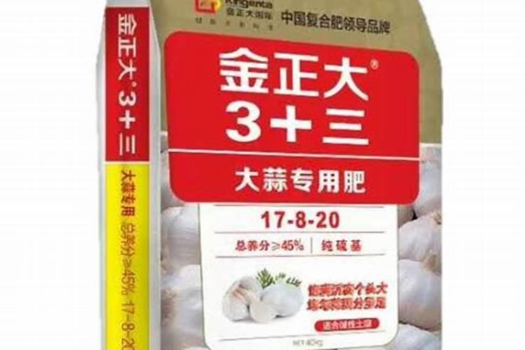 春季大蒜的养殖技巧及病虫害管理