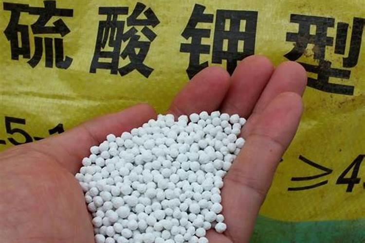 硫酸钾和氮磷钾复合肥哪个好