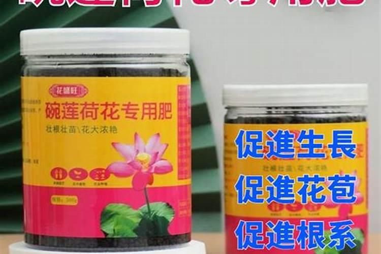 荷花用什么肥料最好