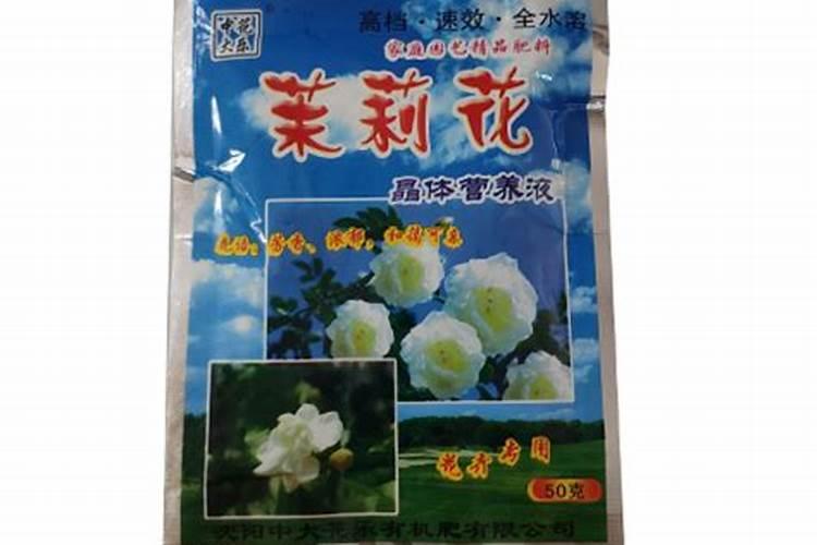 茉莉花怎么养