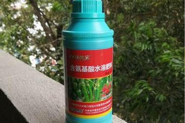 辣椒腐烂打什么药效果好