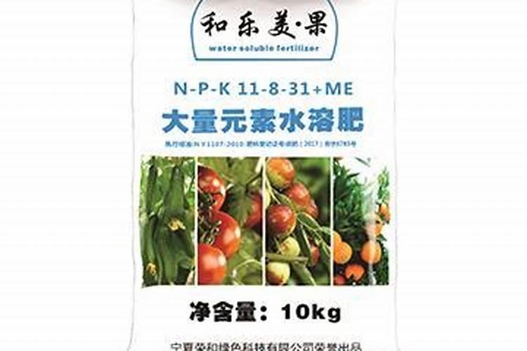 平地种植芸豆需要施什么肥料？