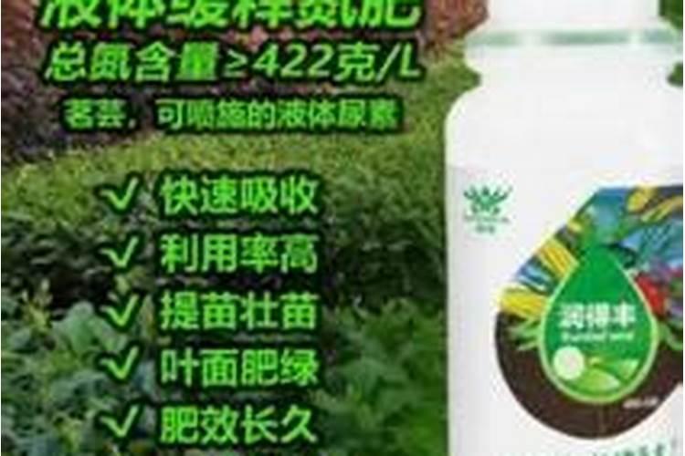 树苗底肥施什么合理 施底肥方法