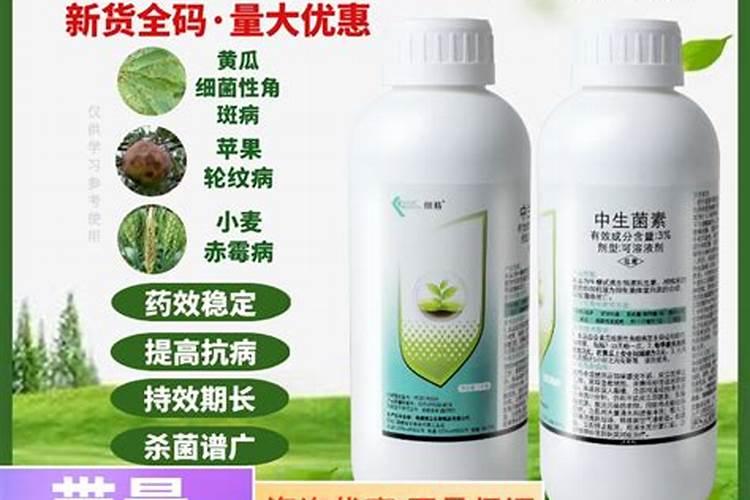 水稻施磷肥有什么作用