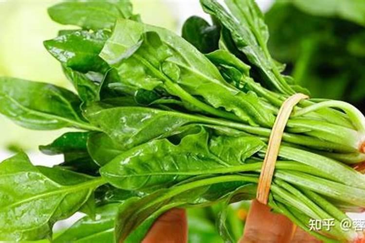 菠菜抽薹是咋回事