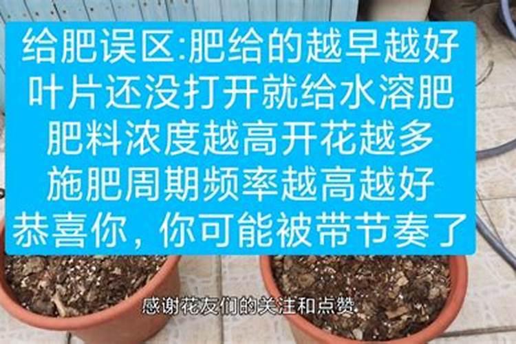 柑橘专用肥料颗粒全年都可以用吗？