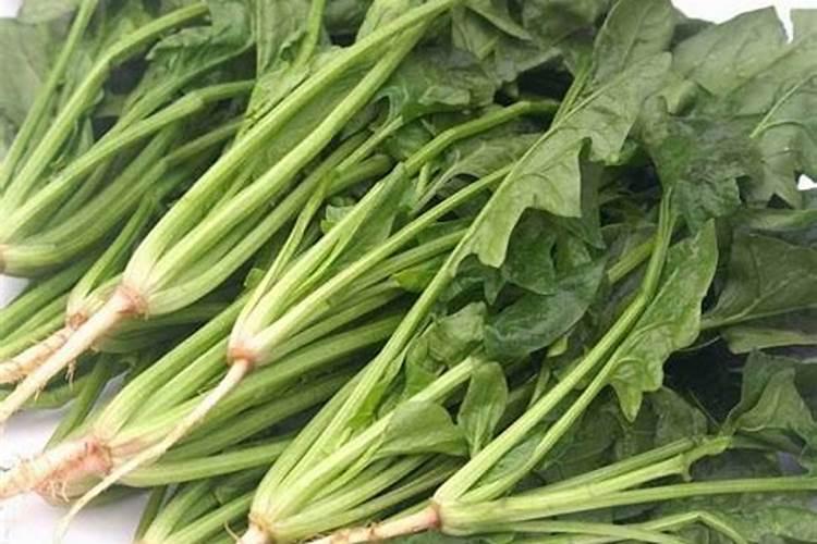 磷肥适合哪些蔬菜