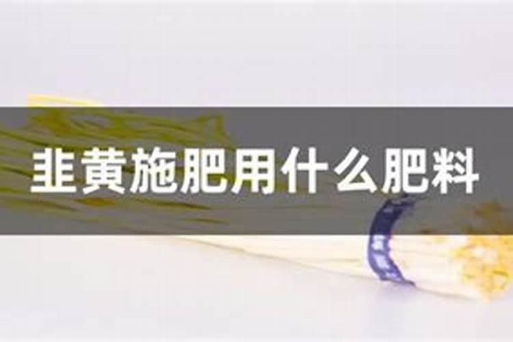韭黄的种植方法是什么