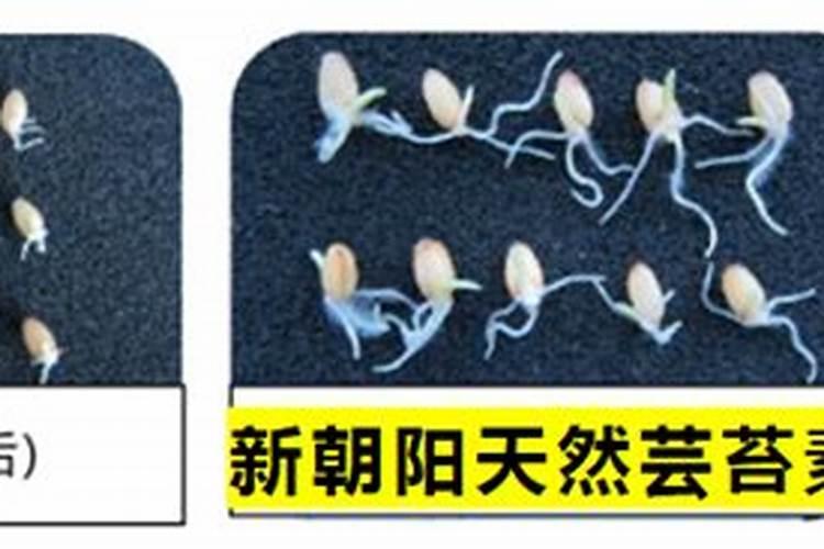 辛硫磷颗粒一亩放几斤