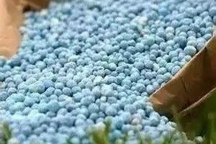 温室甲鱼大棚水体内亚硝酸盐过高应该怎么处理？