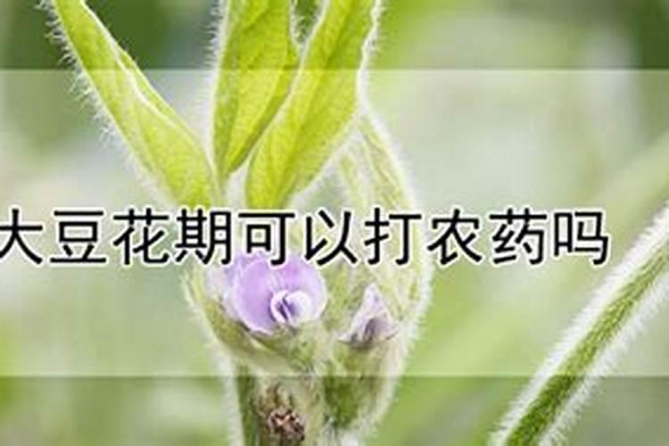 0.15%芸苔素具体作物上的应用