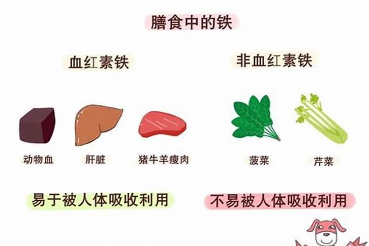 过期的鱼食可以当花肥吗？