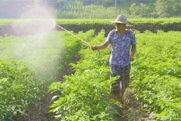 2022养殖公司起名 高级经典的取名推荐