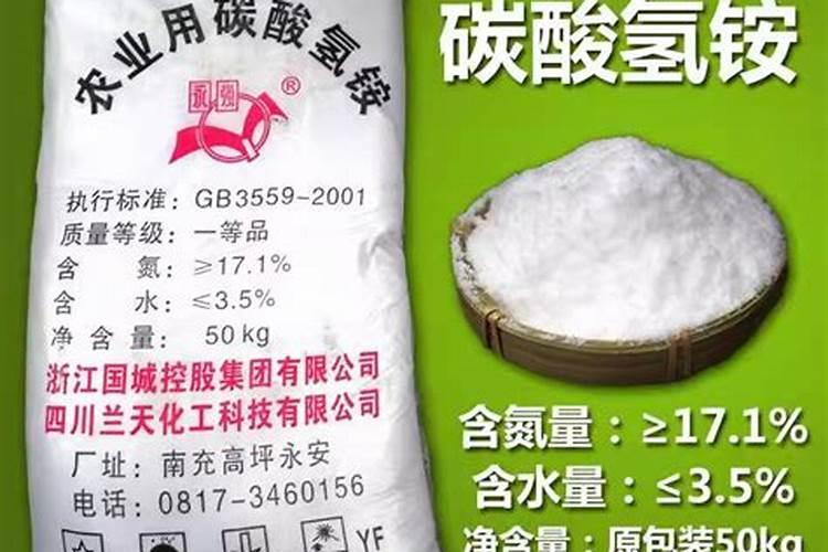 大姜叶面用芸苔120郊果怎样