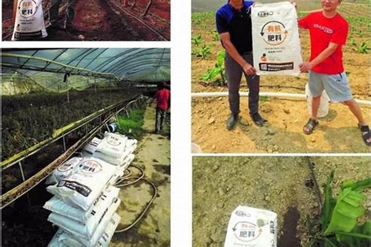 土豆不需要氮肥原因