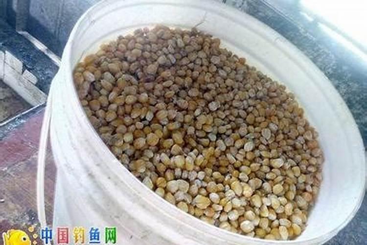 罗布泊的钾矿储量是最多的吗