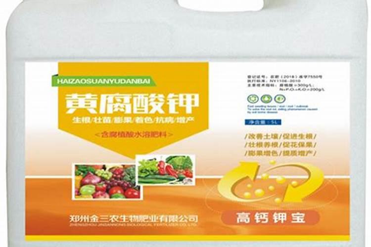 钾肥是什么肥料