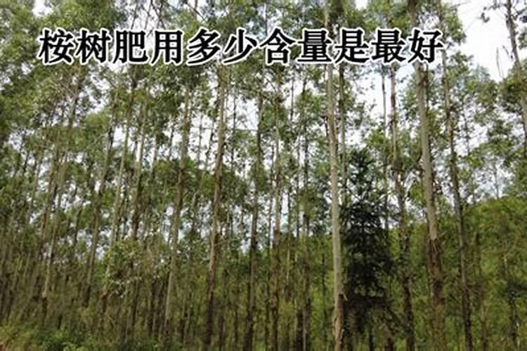 鸿运当头浇什么肥料合适