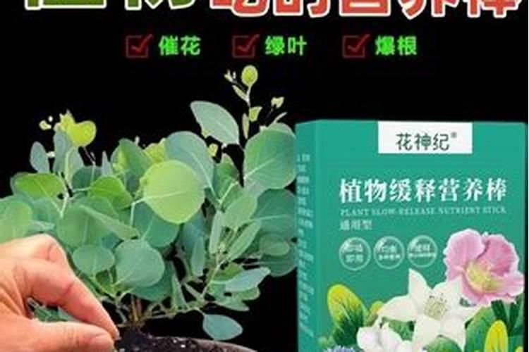 养花绿叶肥有哪些