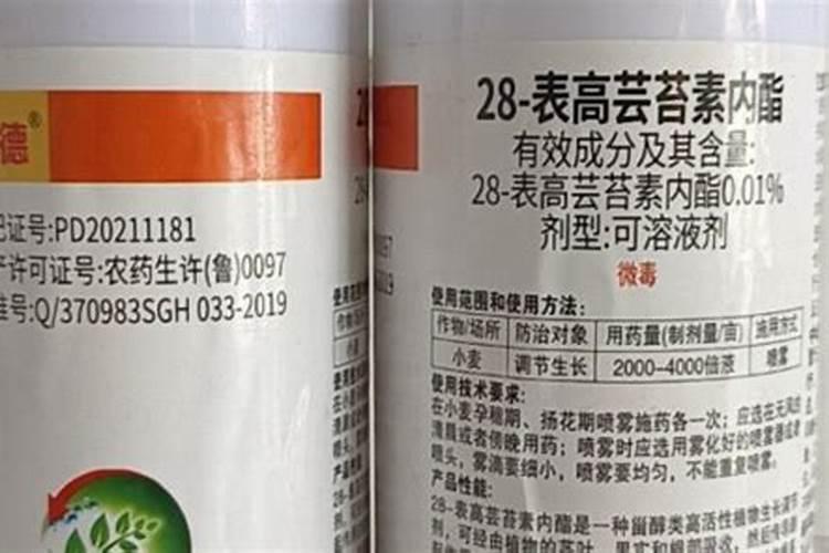 鸿运当头浇什么肥料合适