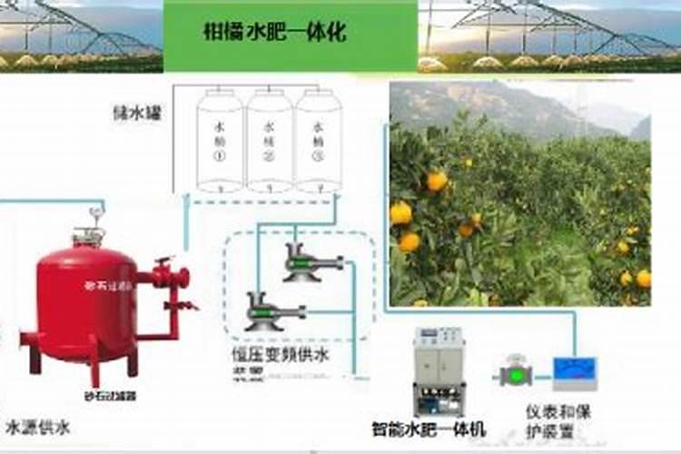 柑橘用什么水溶肥好及水溶肥施用指南