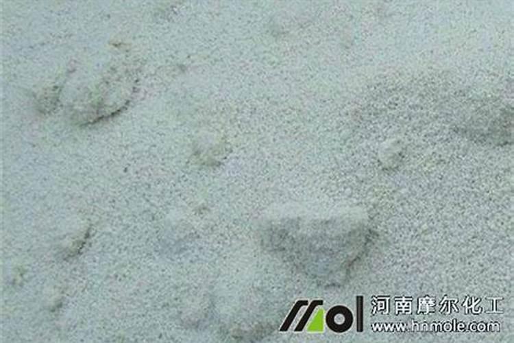 分蘖株是什么