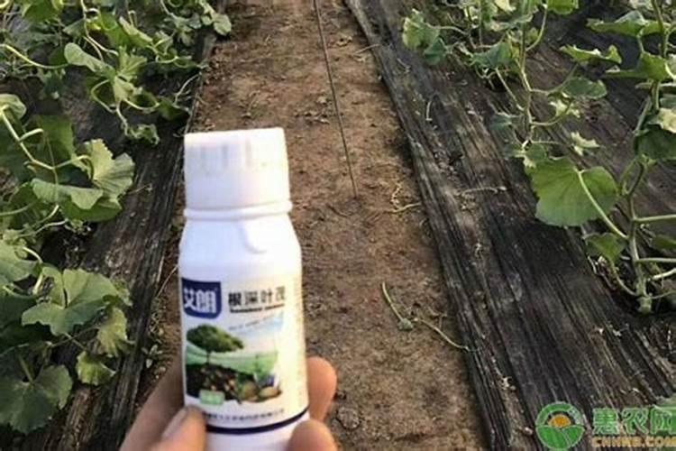 氮肥叶面肥有哪些,氮肥利用率