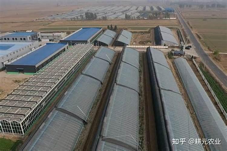 磷肥和化肥的区别