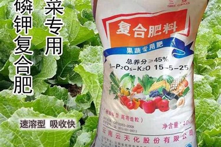 种蔬菜用什么复合肥