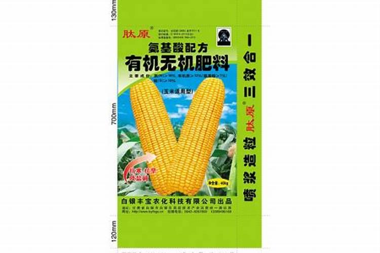 冬季黄瓜定植后温度怎么管理