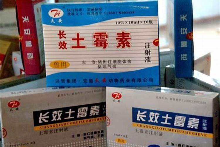 喂野鸡怎么喂