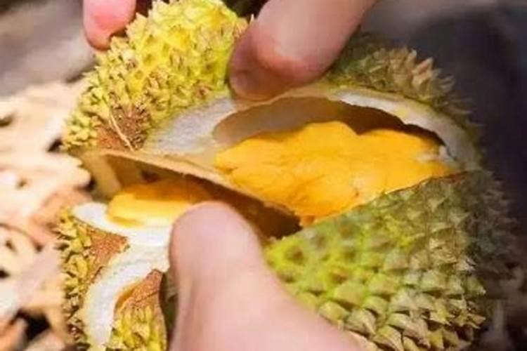 复合肥可以浇多肉吗