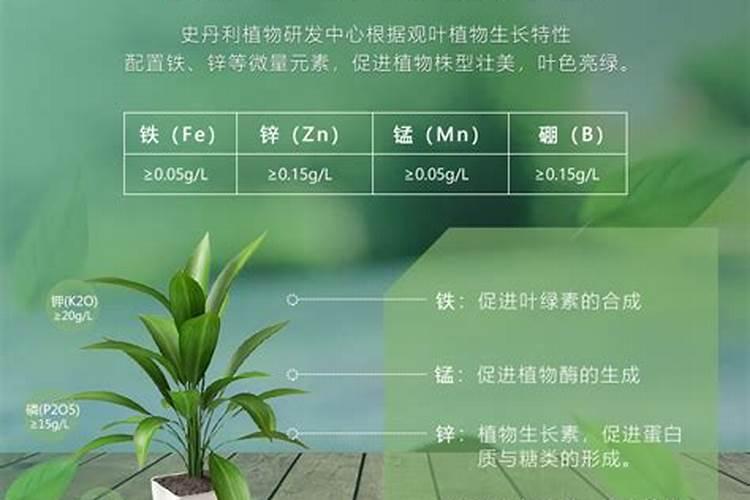 龟背竹施什么肥好,龟背竹施氮磷钾肥最好