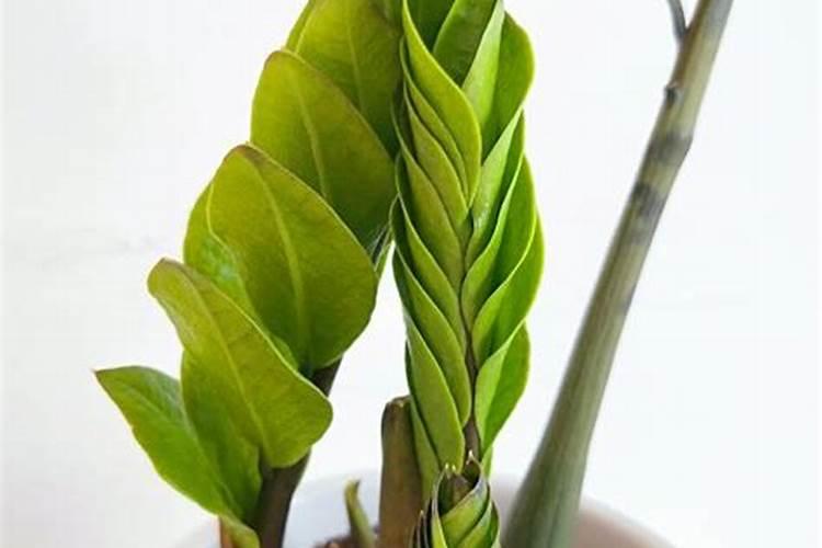 氯化钾的用量计算公式