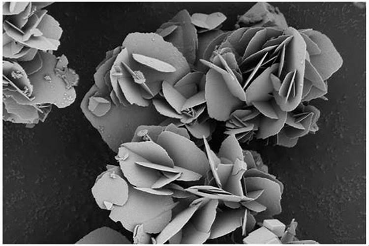 你们用过好用的钾肥有哪些？