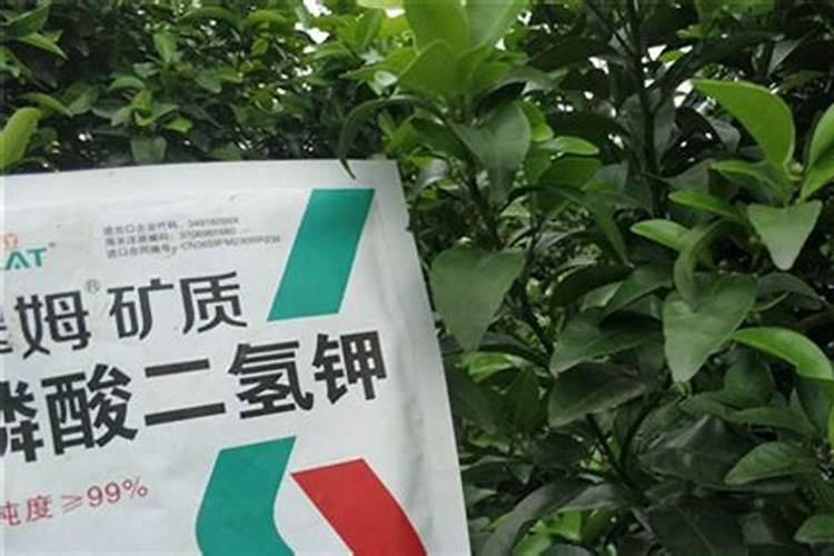 西安市 什么地方能购买液氮