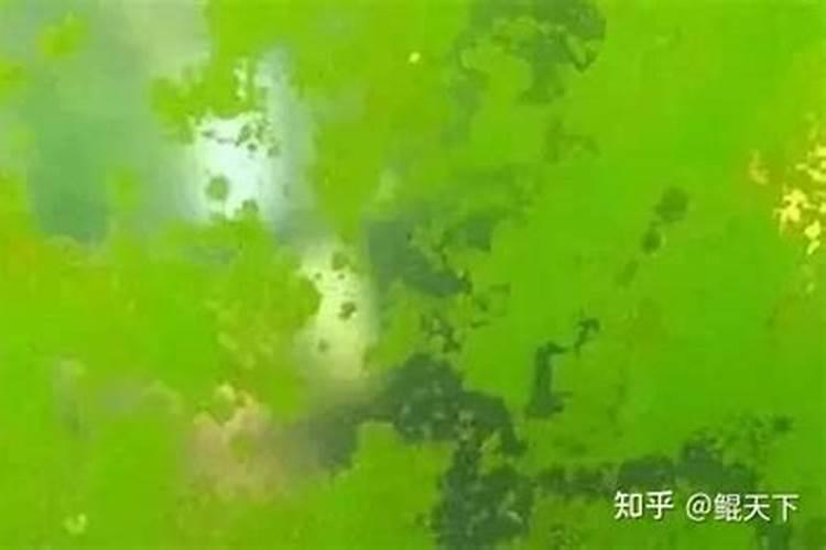 高温高湿天化肥想要存放得不失效,应该怎么保存呢？